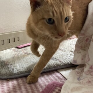 ❤️人の温もりが大好き❤️