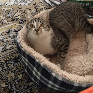 ソックスを履いた可愛いメイちゃん❤️