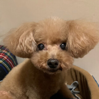 元気で明るい女の子♪