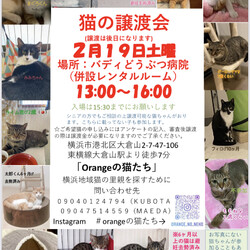 保護猫の譲渡会in横浜
