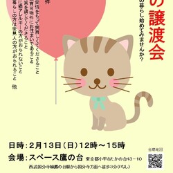 譲渡会　生後半年未満の子猫から大人猫まで