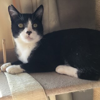 白血病だからこそ幸せに★温和な男の子