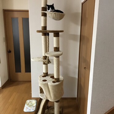 の写真