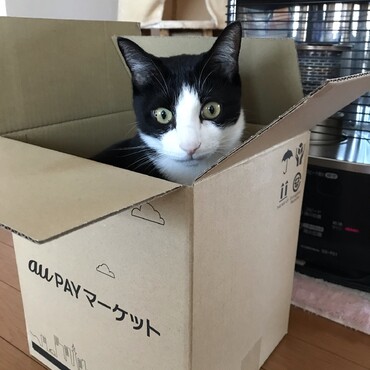 の写真