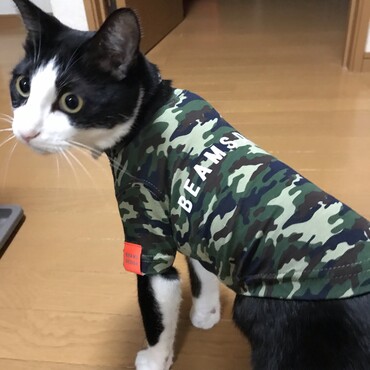 の写真