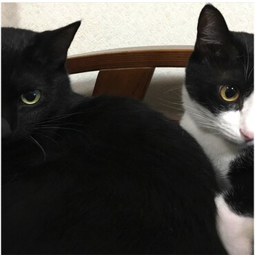 の写真