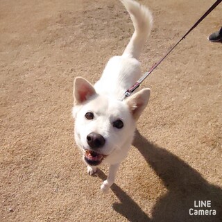 ◆ご縁を待っています◆ふねさん