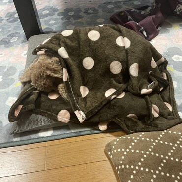 の写真