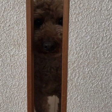 の写真