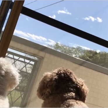 の写真