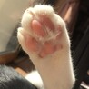 tamagopanさん