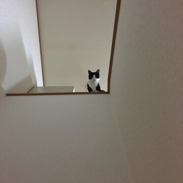 の写真