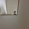 の写真