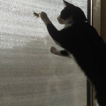 の写真