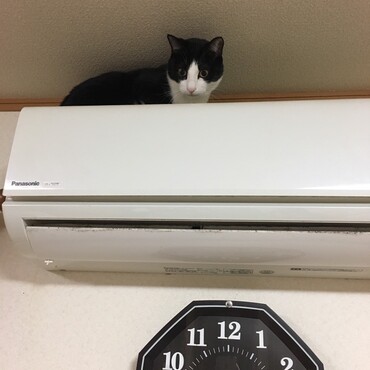 の写真