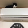の写真