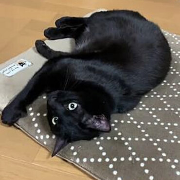 の写真