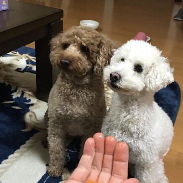 の写真
