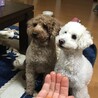 の写真