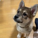 性格はなまるルンルンです