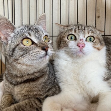 の写真
