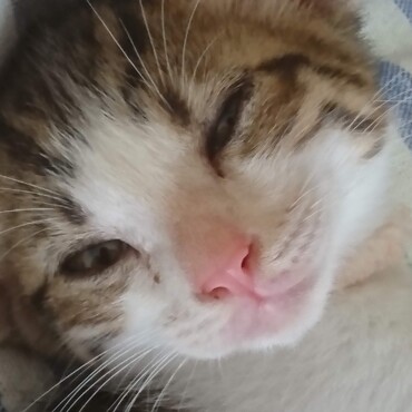の写真