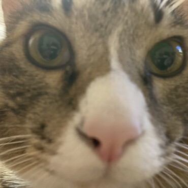 の写真