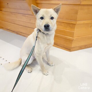 ◆ご縁を待っています◆ますおさん