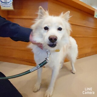 ◆ご縁を待っています◆マロ君