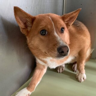 少しオドオドした性格ですが可愛いマナちゃん