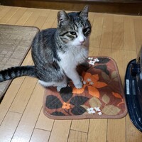でか