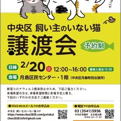 (予約制)中央区飼い主のいないネコの譲渡会