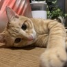 水谷です