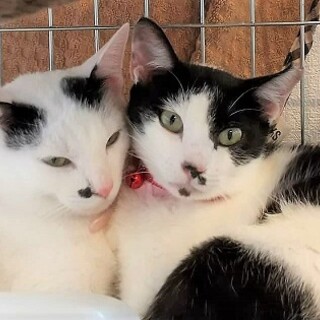 仲良しさん！太陽＆渚☆二匹一緒に!!