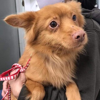 穏やかなお利口さん♥ペンギン君です(^^)