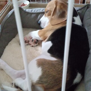 頑張って育てていきます。