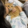 ムギぽん