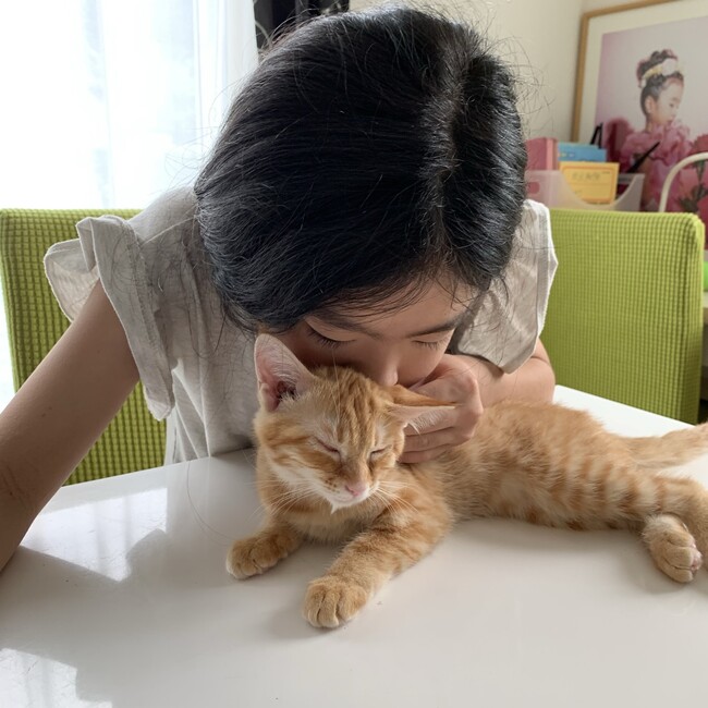ムギぽんのカバー写真