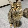 さん