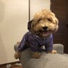えみこたんさん