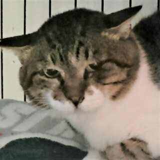 不機嫌そうなカオの富雄ですが平常心です