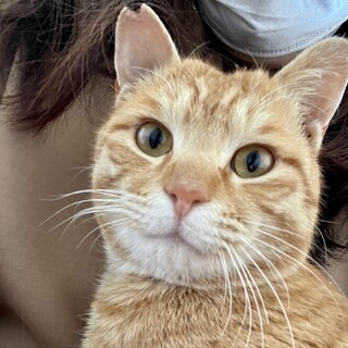 甘えん坊のおとなしくてちょっぴり食いしん坊