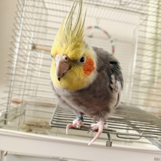 kenshi.mのカバー写真
