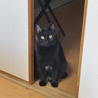 なぎ
