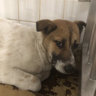 収容期限1週間です、、