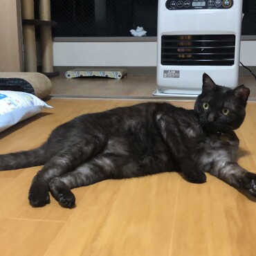 石油ファンヒーターだいすき