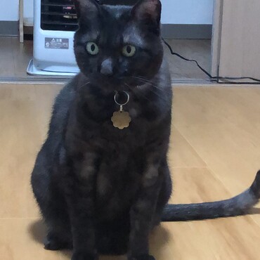 の写真