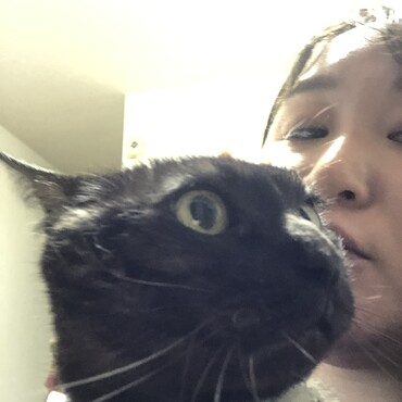 の写真