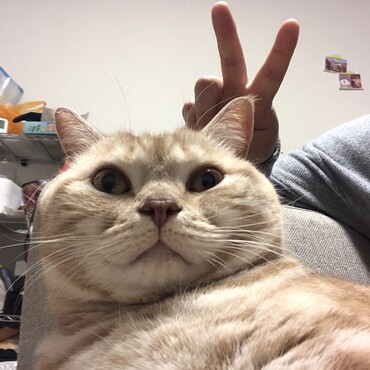 瓈央の写真