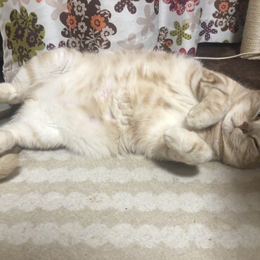 瓈央の写真